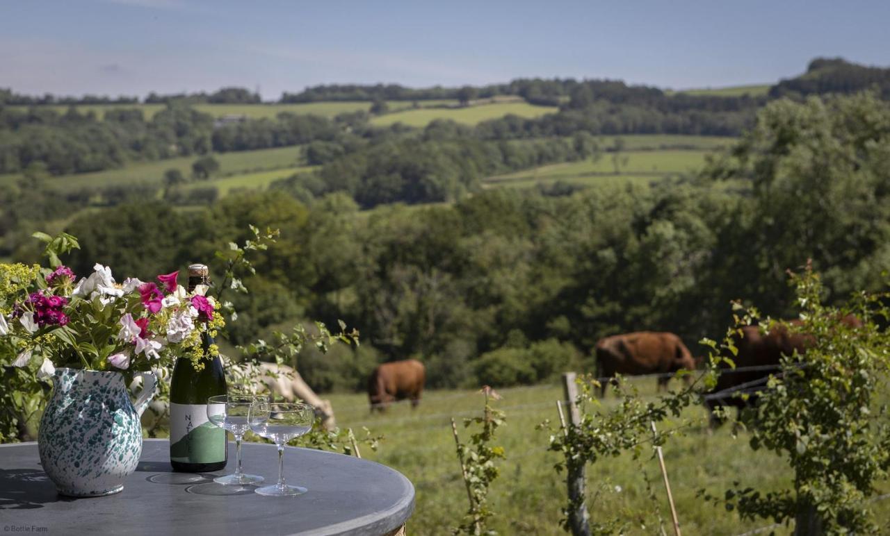 Meadow Barn Βίλα Axminster Εξωτερικό φωτογραφία