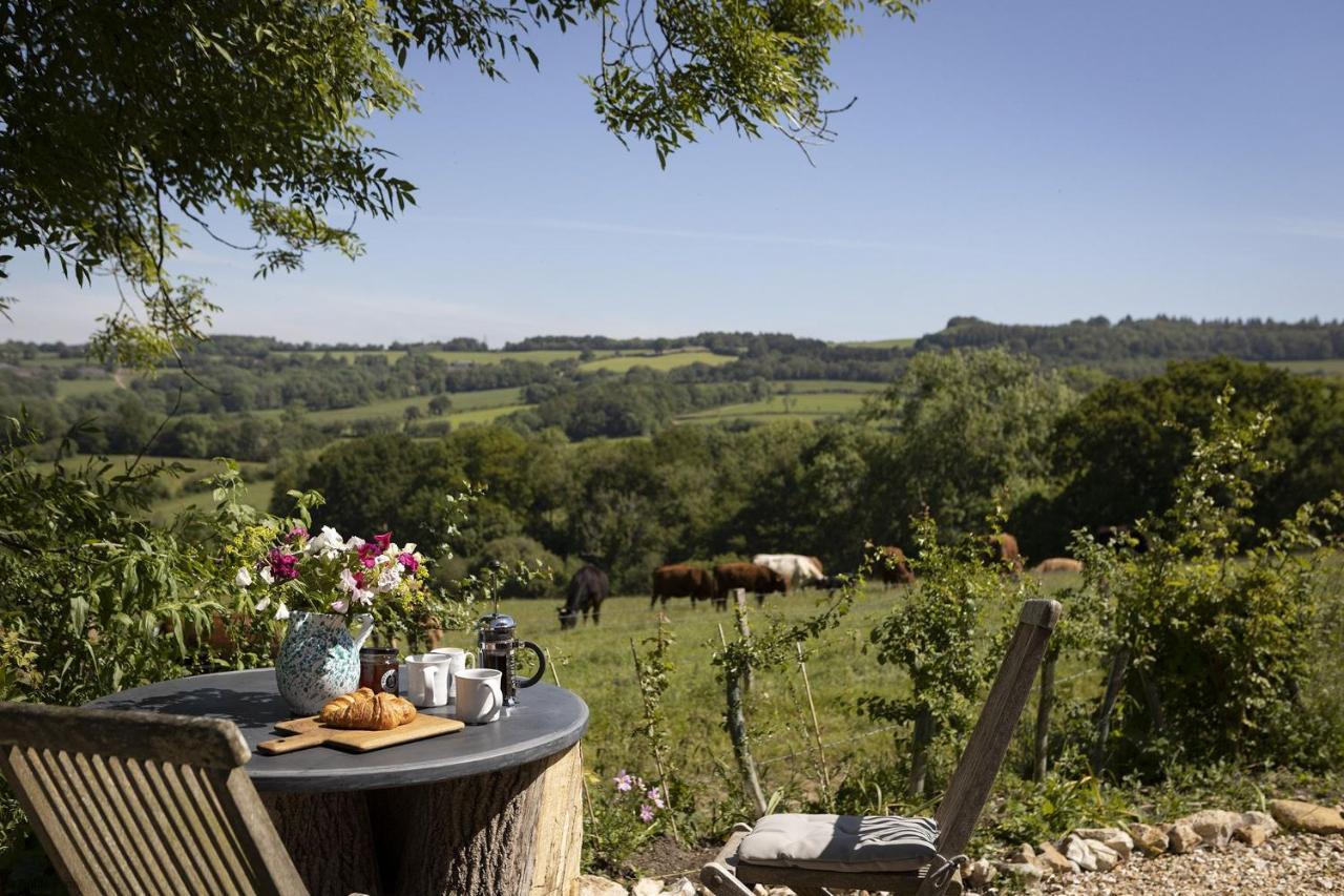 Meadow Barn Βίλα Axminster Εξωτερικό φωτογραφία